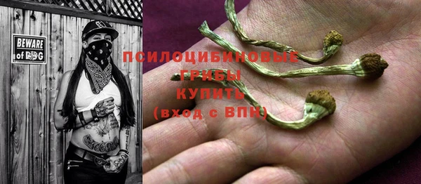 mdpv Инсар