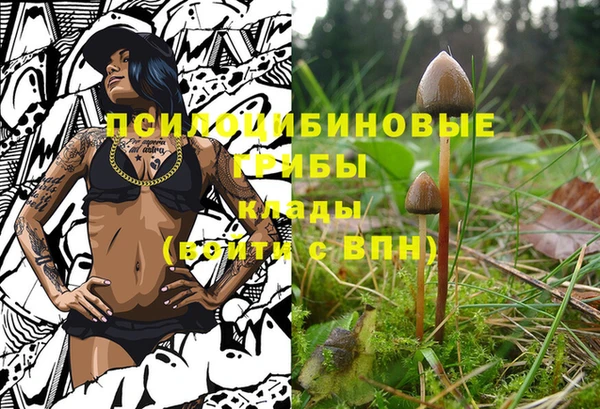 синтетический гашиш Зерноград
